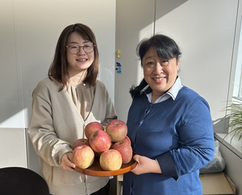 アロハースタッフ