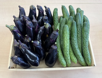 「野菜」